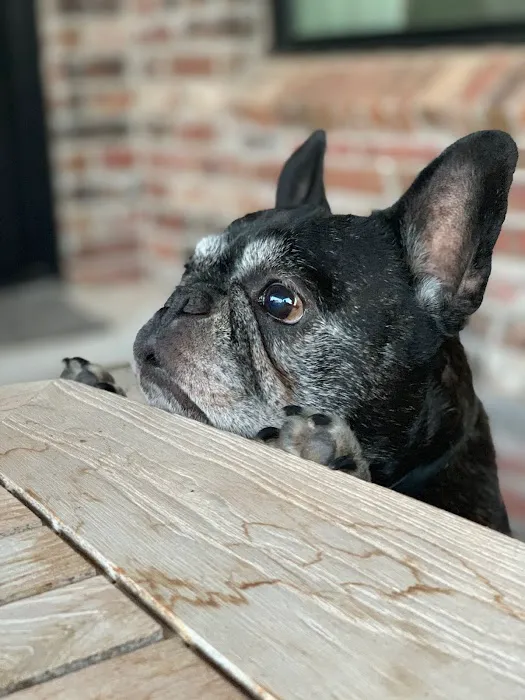 Holland's Veterinary Referral Hospital / Cattle Stats, LLC Picture 5