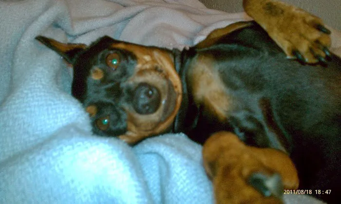 Holland's Veterinary Referral Hospital / Cattle Stats, LLC Picture 7