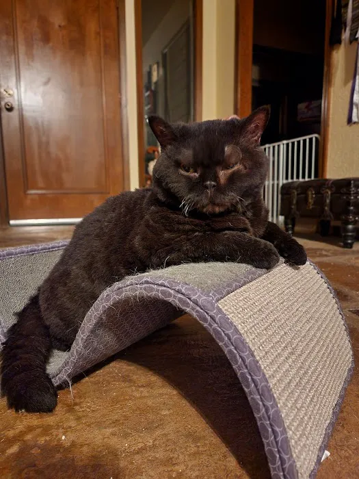 Holland's Veterinary Referral Hospital / Cattle Stats, LLC Picture 6