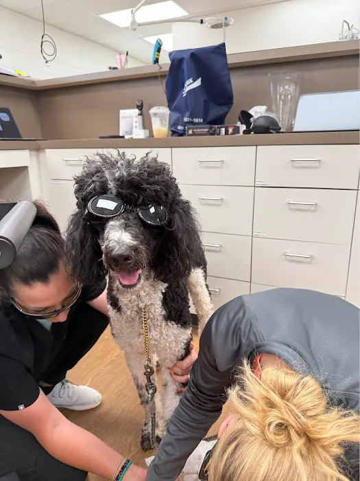 Okie Paws Veterinary Clinic Picture 2