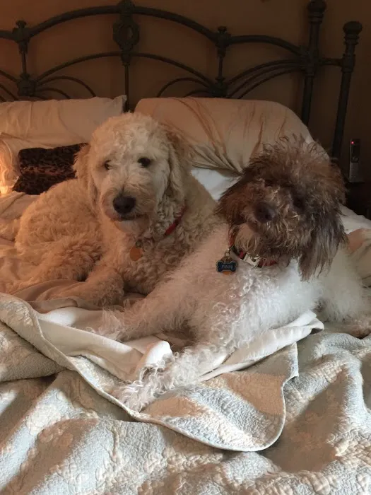 Angel Ridge Veterinary Service Picture 7