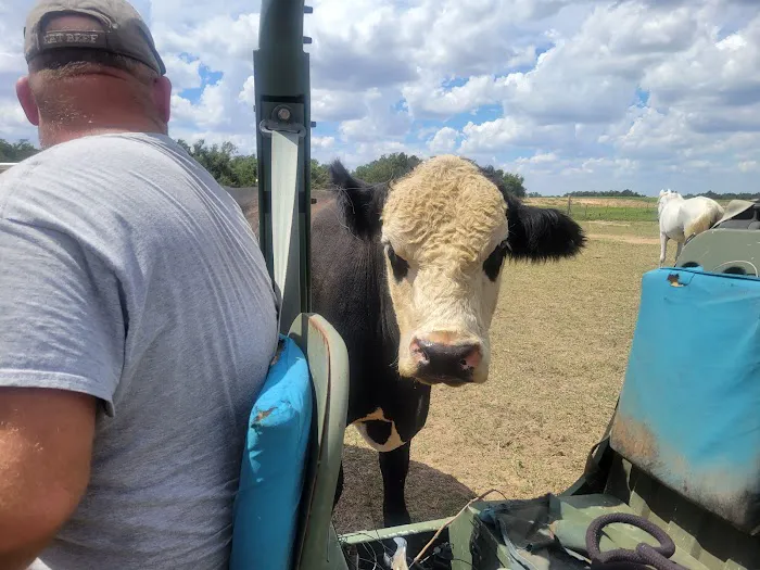 Crescent Veterinary Hospital Picture 3