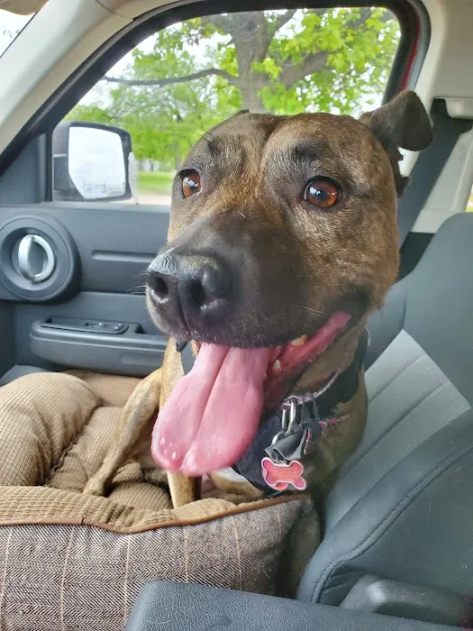 Southside Dog, Bird and Cat Clinic Picture 4