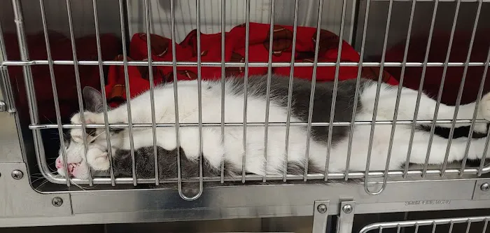 Southside Dog, Bird and Cat Clinic Picture 3