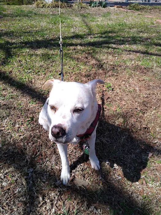 Southside Dog, Bird and Cat Clinic Picture 5