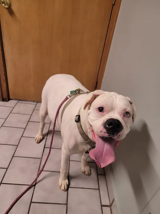 Southside Dog, Bird and Cat Clinic Picture 6