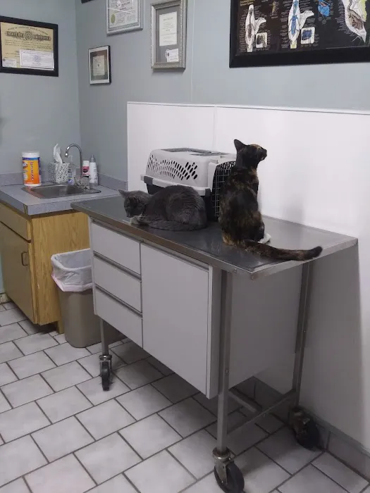 Southside Dog, Bird and Cat Clinic Picture 10