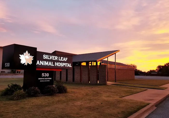 Silver Leaf Animal Hospital Picture 7