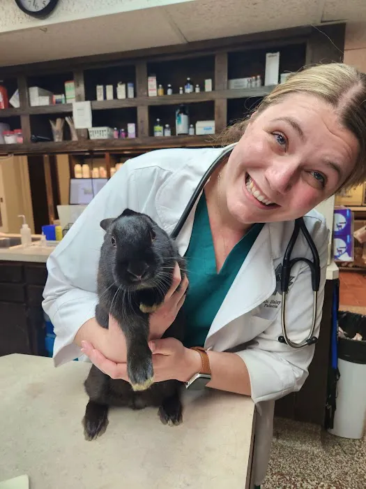 Silver Leaf Animal Hospital Picture 9