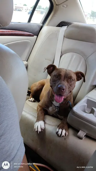 Eastmoor Animal Clinic Picture 2