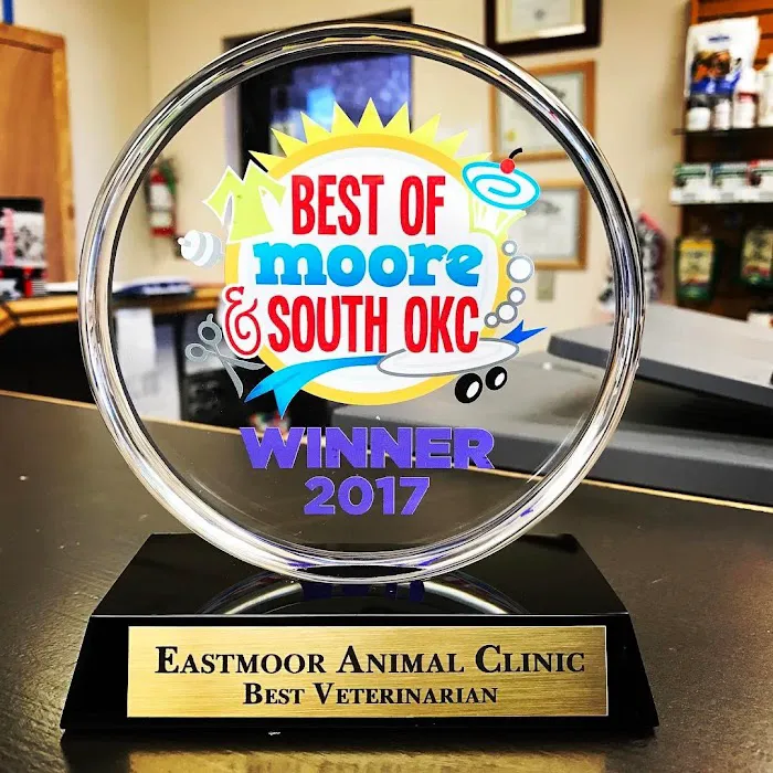 Eastmoor Animal Clinic Picture 7