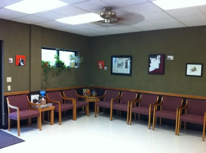 Eastmoor Animal Clinic Picture 6