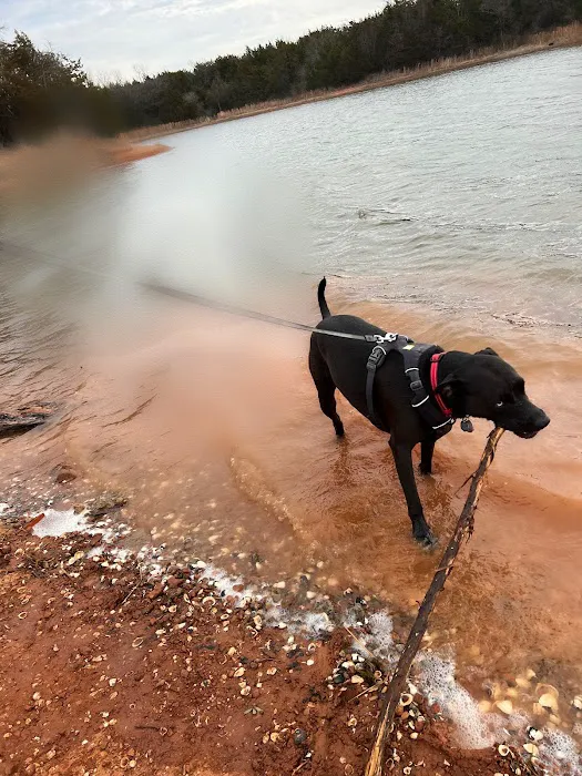 Eastmoor Animal Clinic Picture 5