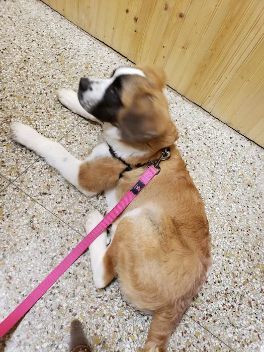 Shields Animal Clinic Picture 1