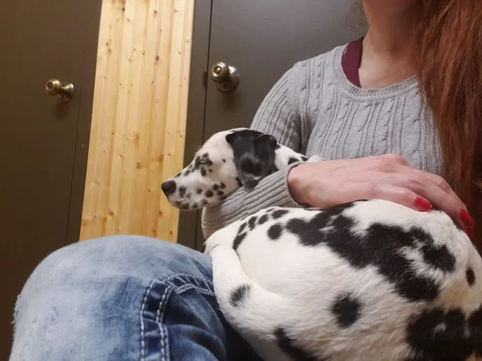 Shields Animal Clinic Picture 2