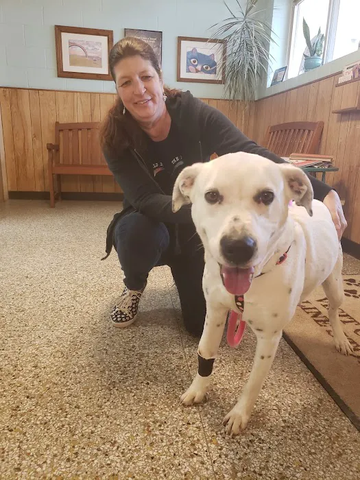 Shields Animal Clinic Picture 5