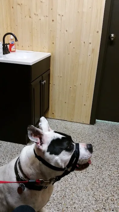 Shields Animal Clinic Picture 3