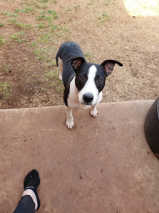 Shields Animal Clinic Picture 8