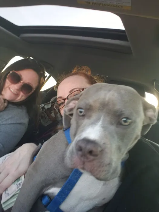 Shields Animal Clinic Picture 10