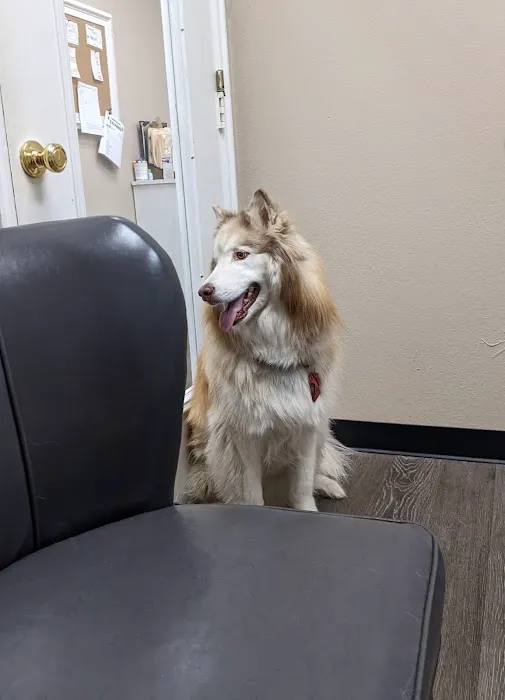 Scroggins Animal Hospital Picture 1