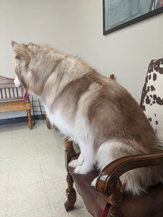 Scroggins Animal Hospital Picture 2