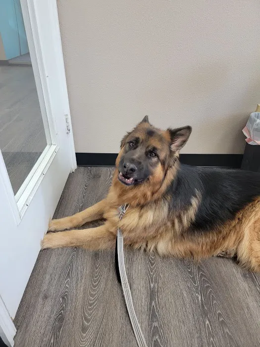 Scroggins Animal Hospital Picture 5