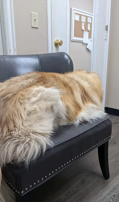 Scroggins Animal Hospital Picture 4