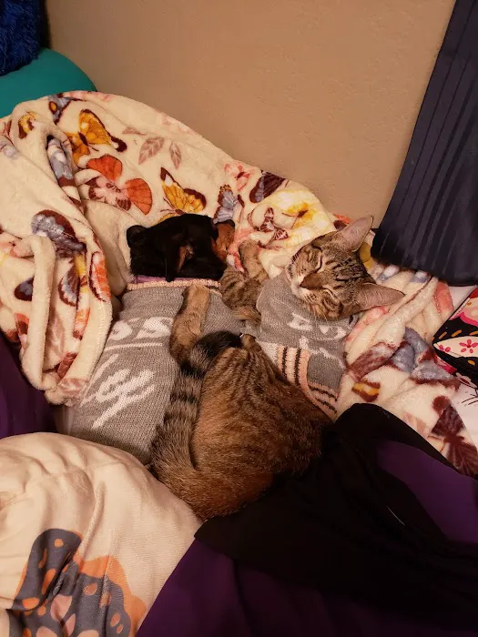 Scroggins Animal Hospital Picture 6