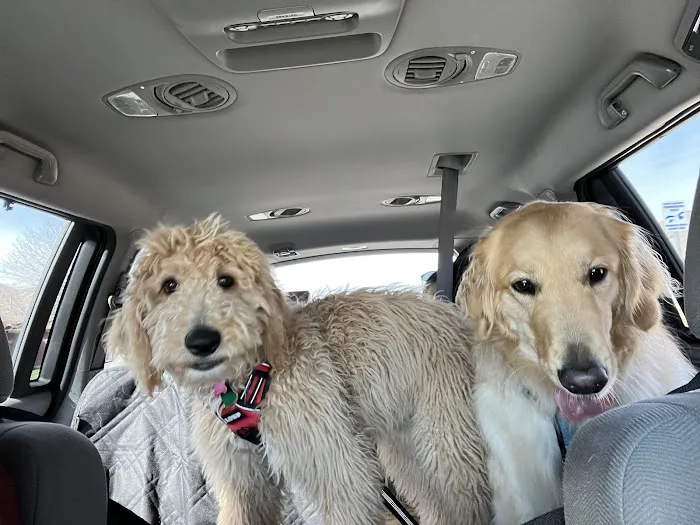 Ranchwood Veterinary Hospital Picture 3