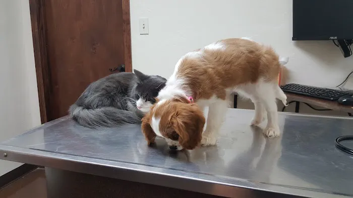 Ranchwood Veterinary Hospital Picture 5