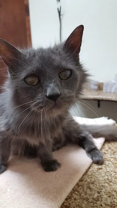 Ranchwood Veterinary Hospital Picture 8