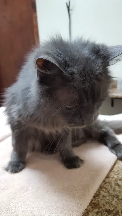 Ranchwood Veterinary Hospital Picture 6