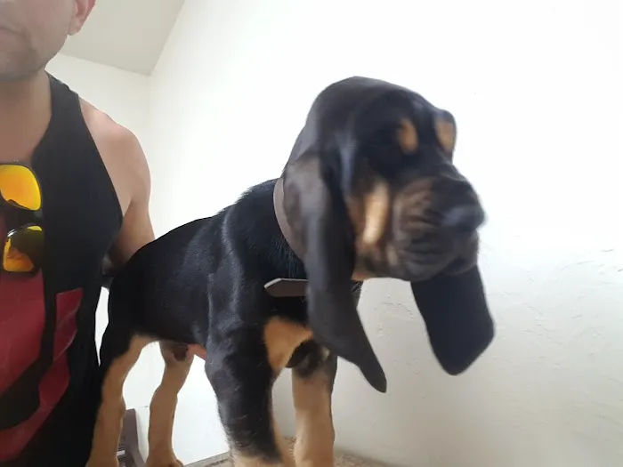 Ranchwood Veterinary Hospital Picture 4