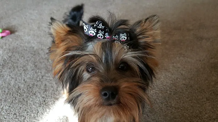 Ranchwood Veterinary Hospital Picture 10