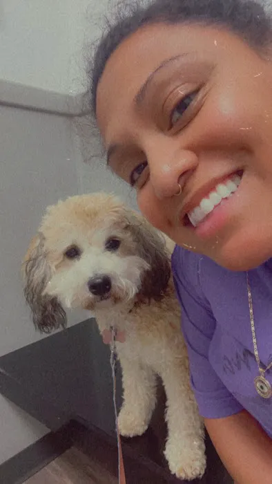 Vet Sense Urgent Pet Care, PLLC Picture 5