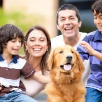 SpayXperts PLUS, Affordable Vet Care ico