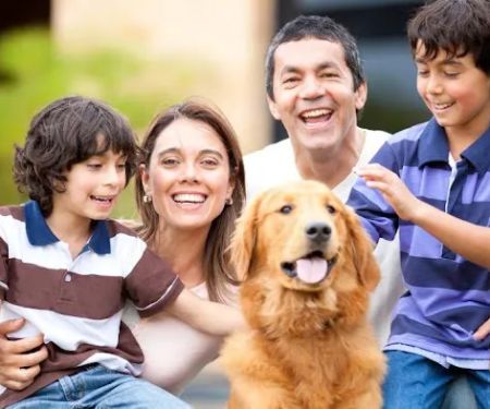 SpayXperts PLUS, Affordable Vet Care