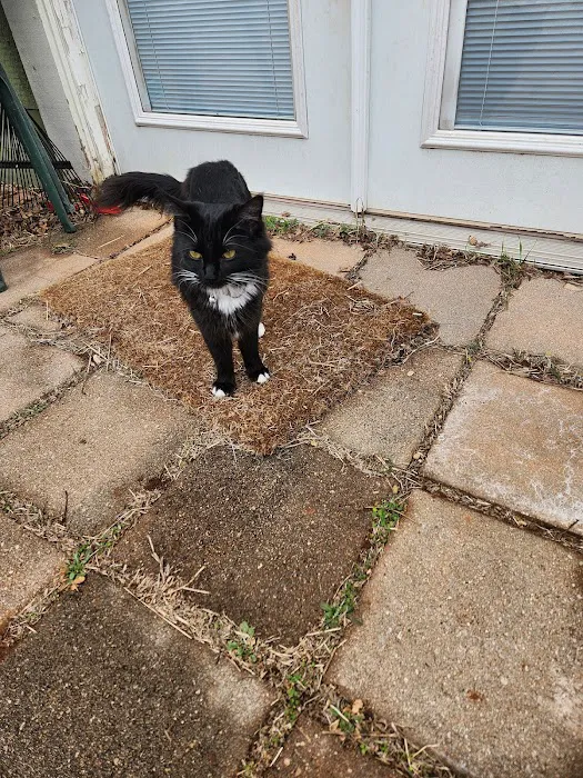 SpayXperts PLUS, Affordable Vet Care Picture 7