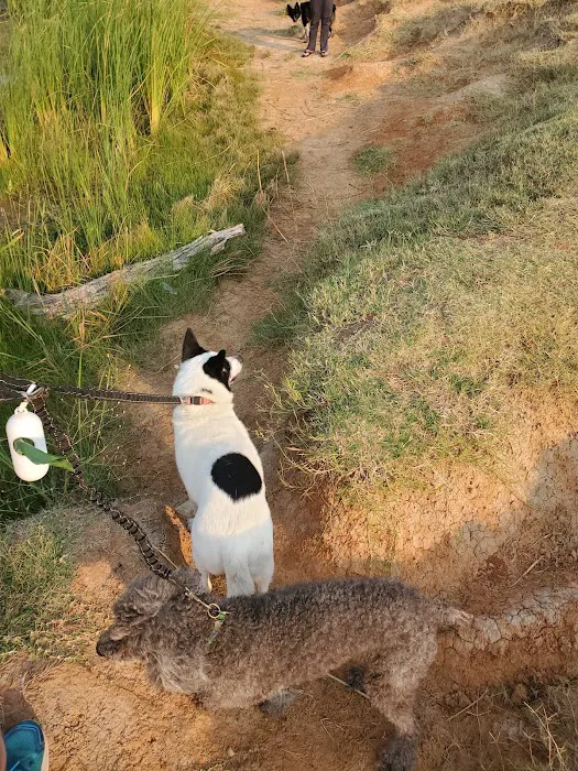 SpayXperts PLUS, Affordable Vet Care Picture 8