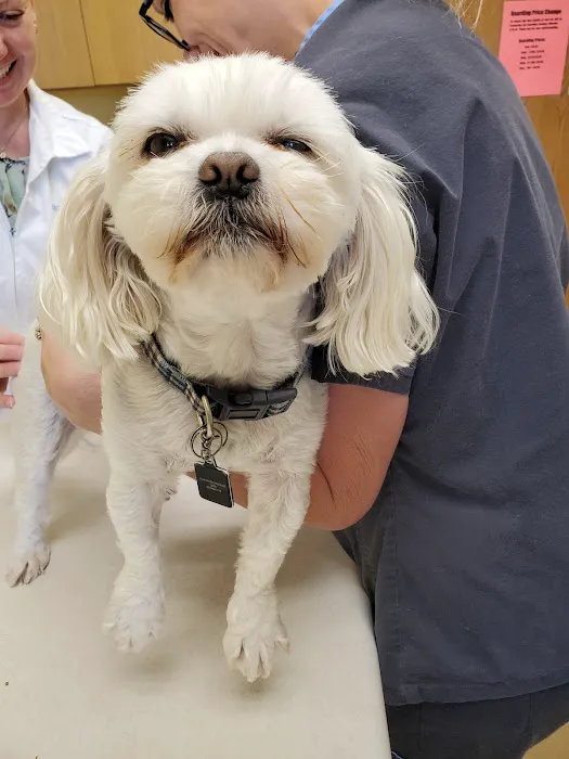 SpayXperts PLUS, Affordable Vet Care Picture 10