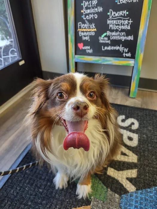 SpayXperts PLUS, Affordable Vet Care Picture 9