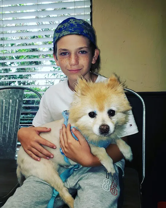 Stachmus Aaron T DVM Picture 1