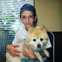 Stachmus Aaron T DVM ico