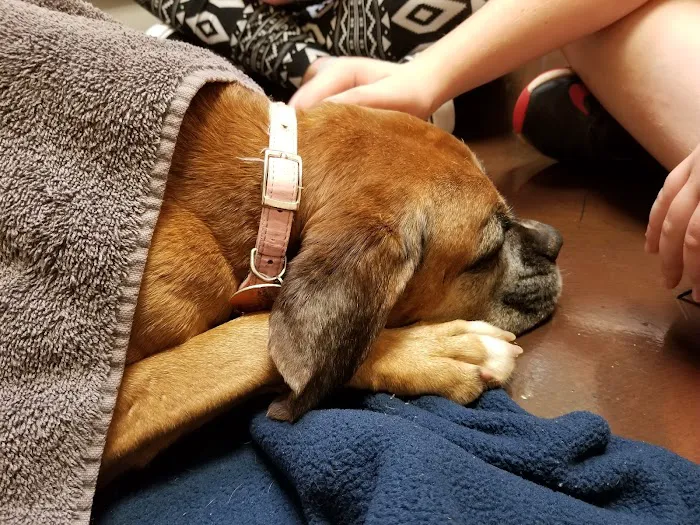 Brookwood Animal Clinic Picture 4