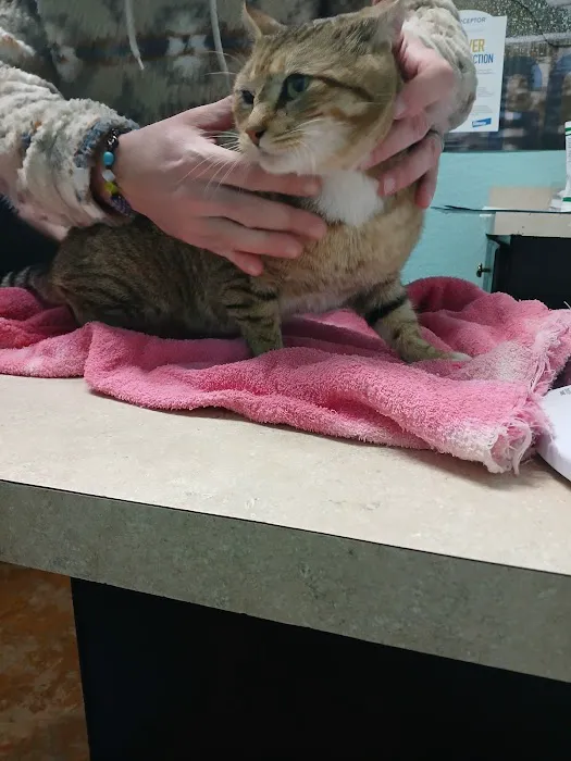 Brookwood Animal Clinic Picture 5