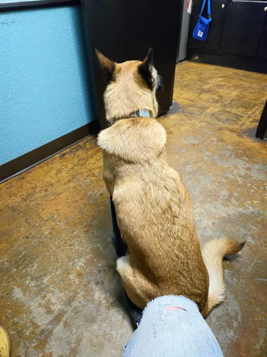 Brookwood Animal Clinic Picture 7