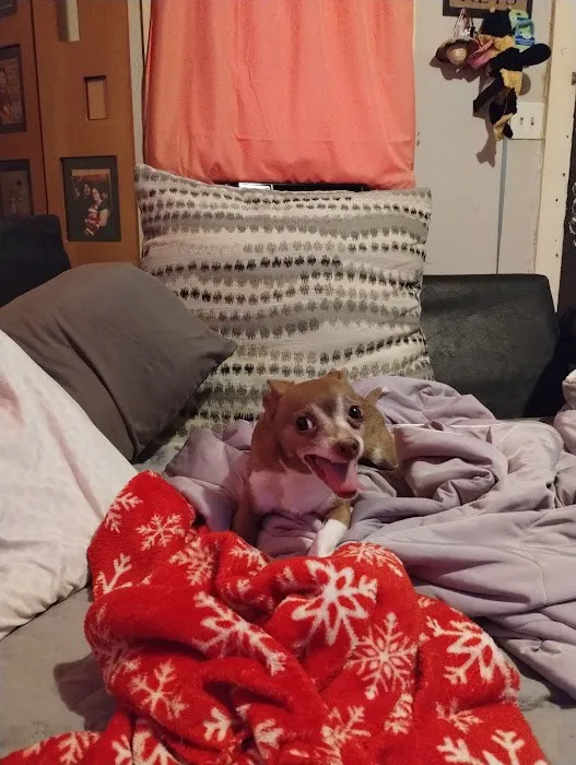 Brookwood Animal Clinic Picture 10