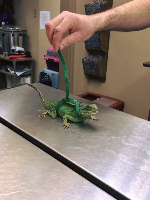 Brookwood Animal Clinic Picture 9