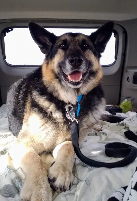 Noble Equine Services Hwy 39 Picture 5