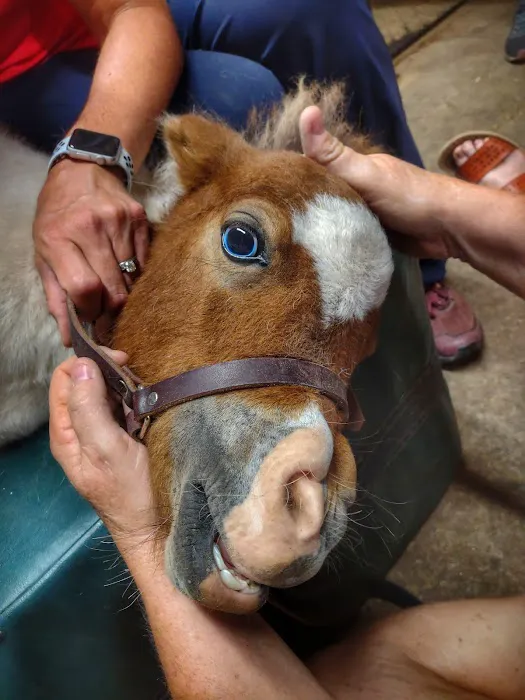 Noble Equine Services Hwy 39 Picture 7